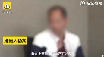 最新巡查员爆料视频播放,视频揭秘现场惊心动魄瞬间